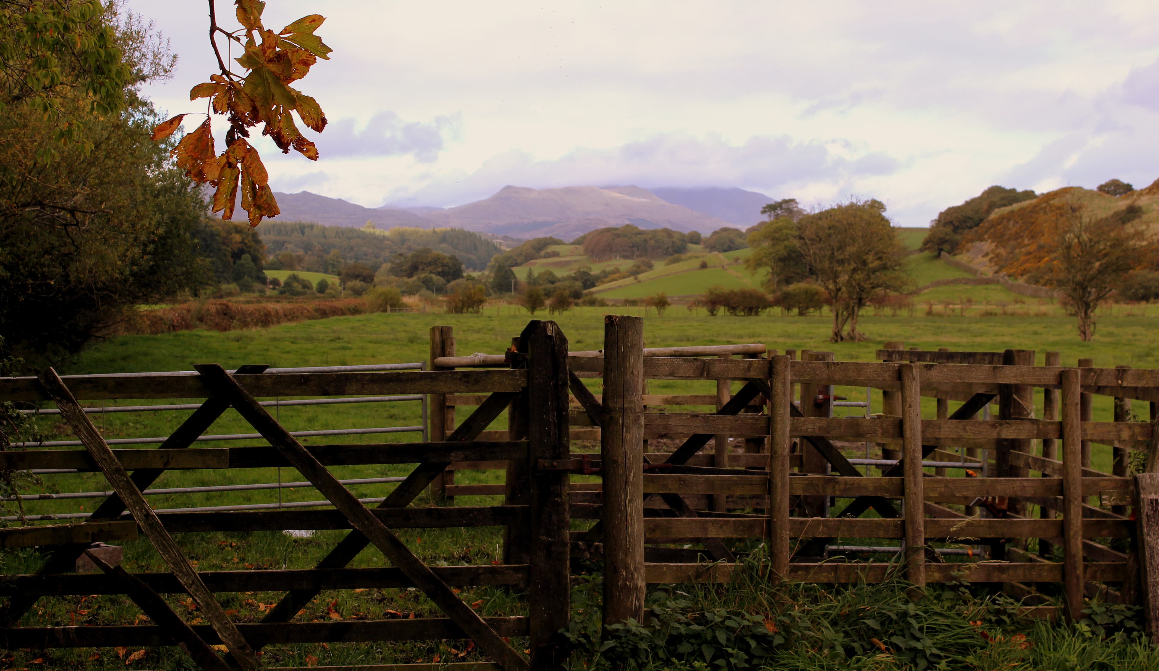 Foxfield