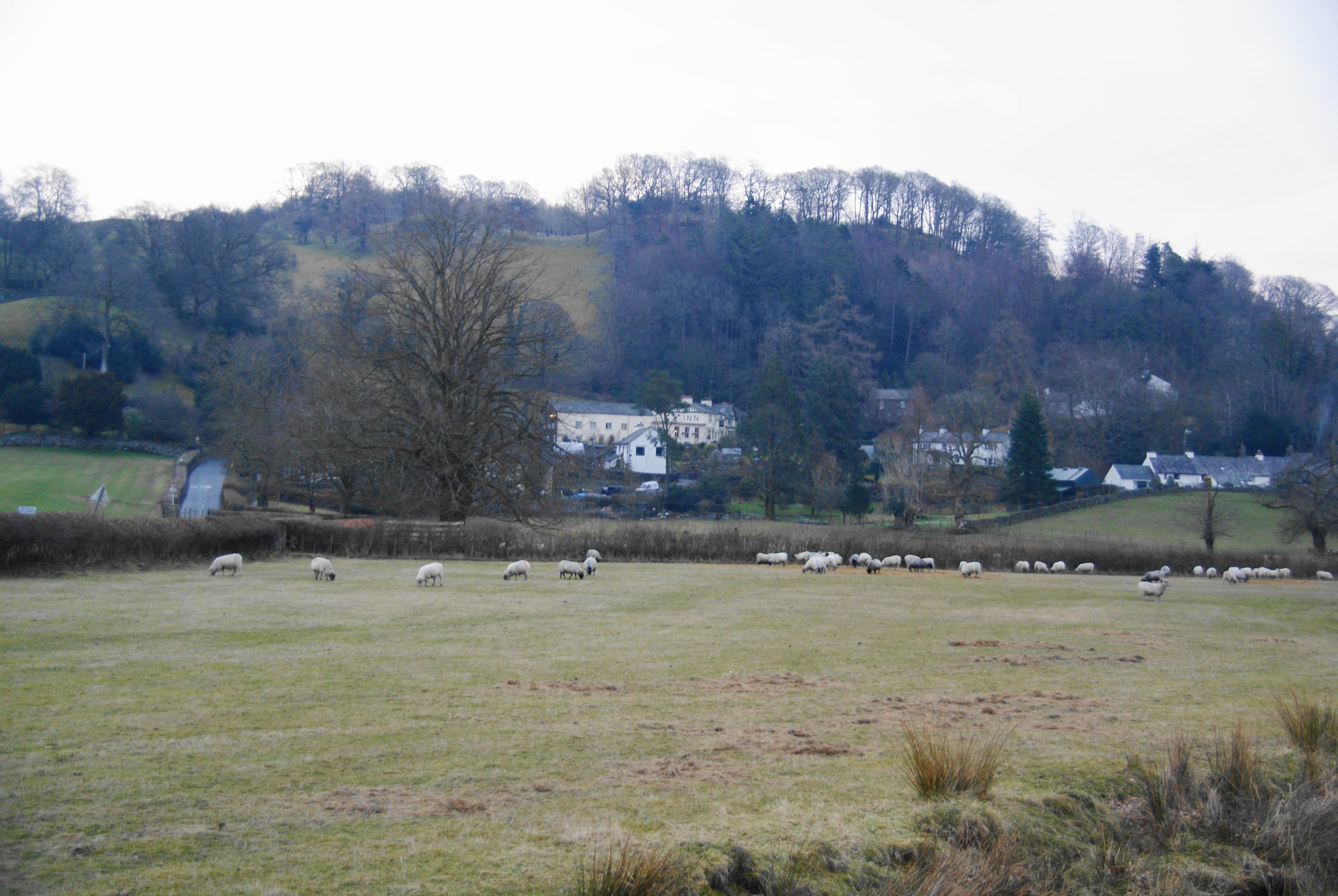 Far Sawrey