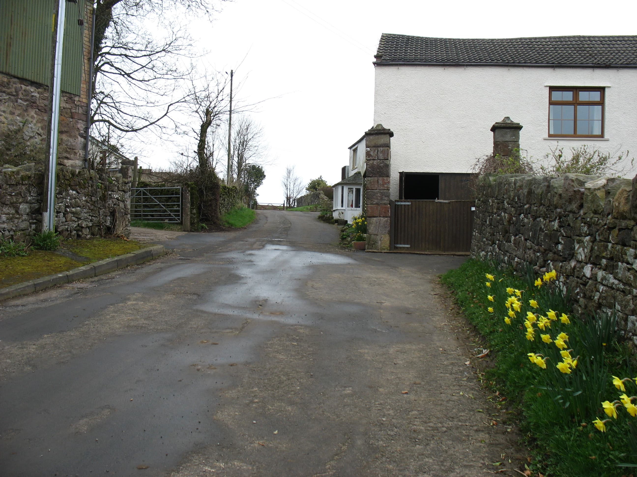 Bothel