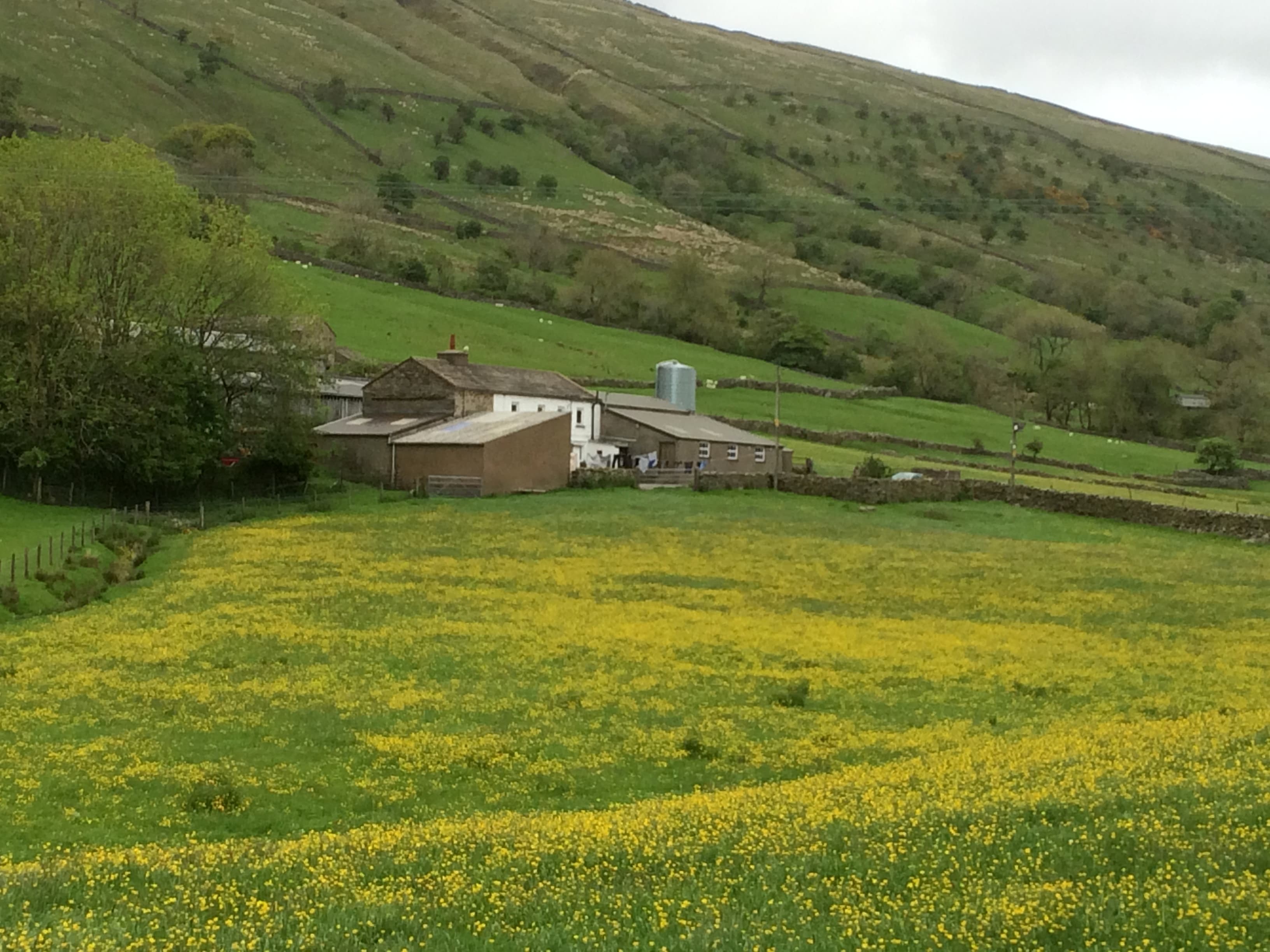 Garsdale