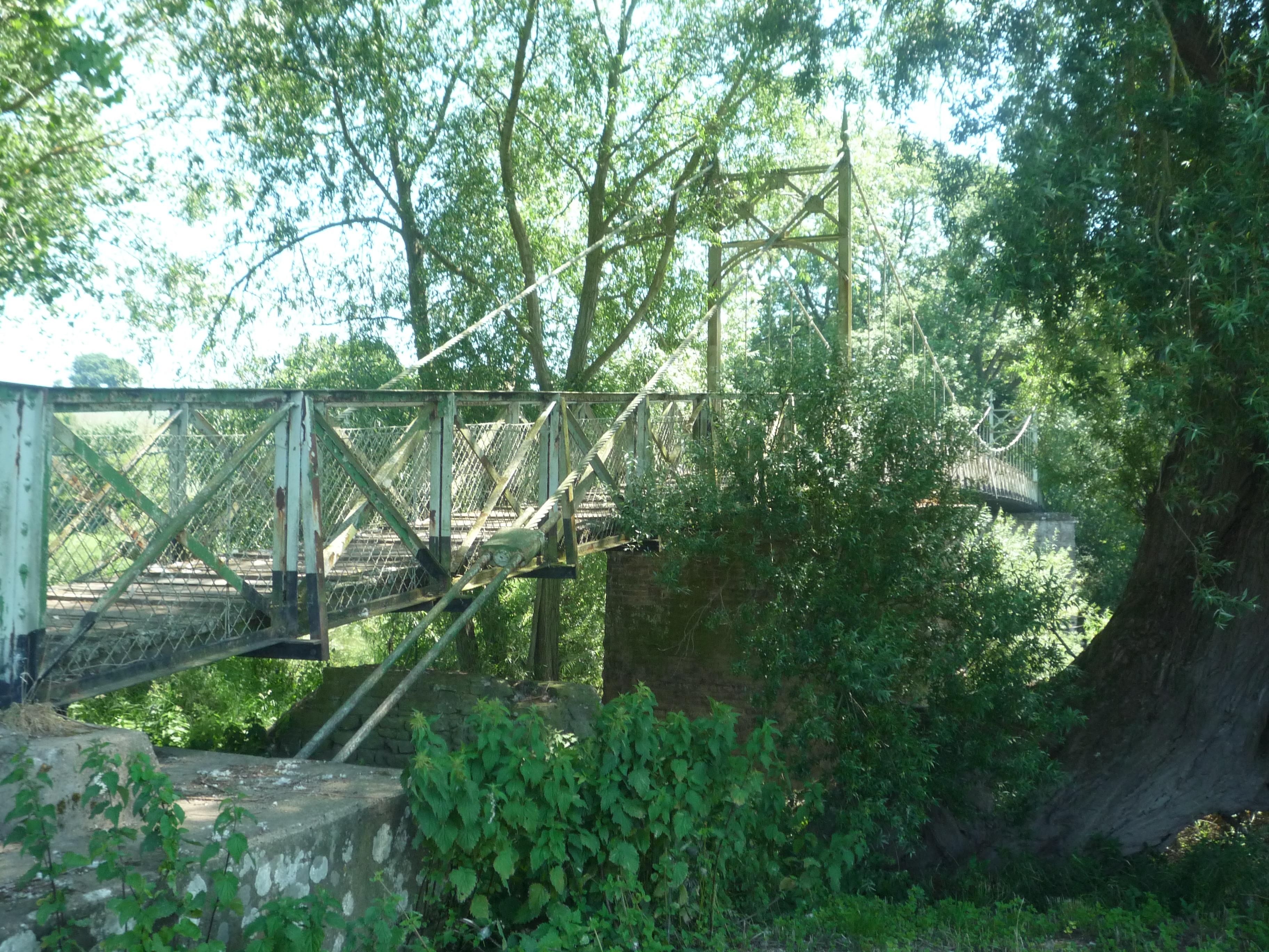 Foy