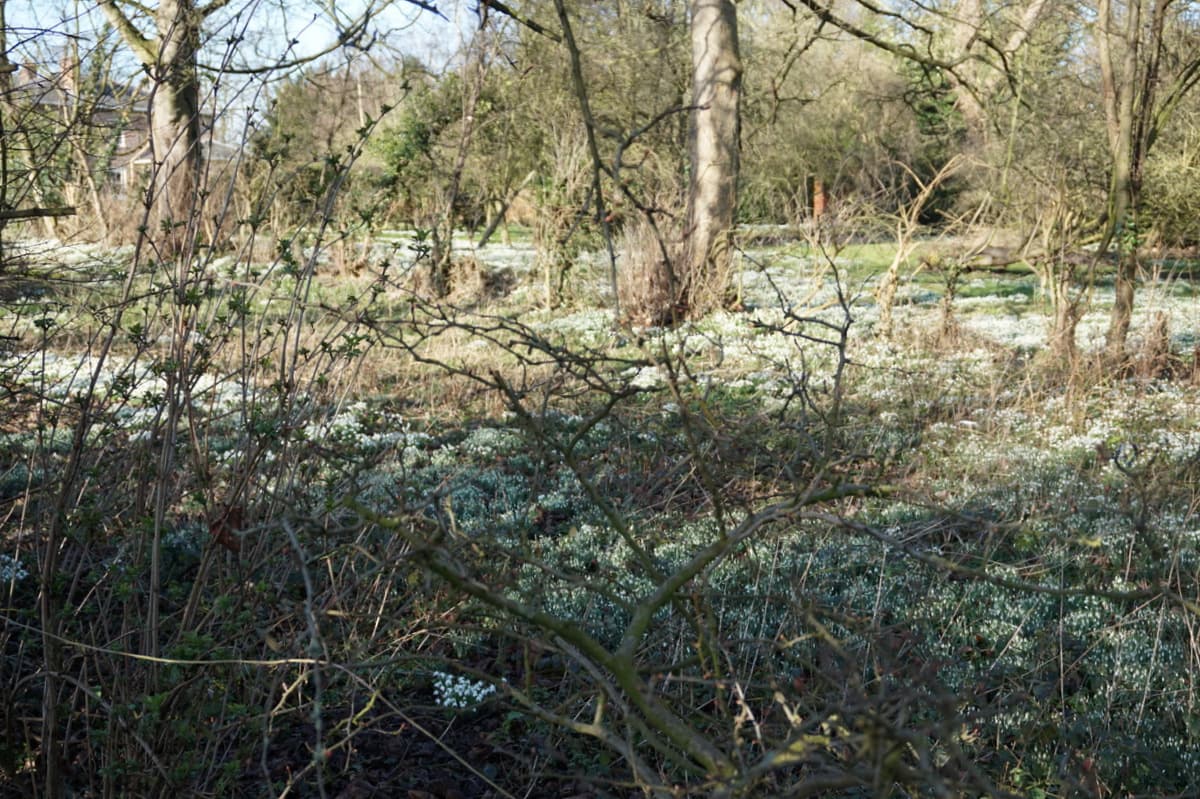 Askham Richard