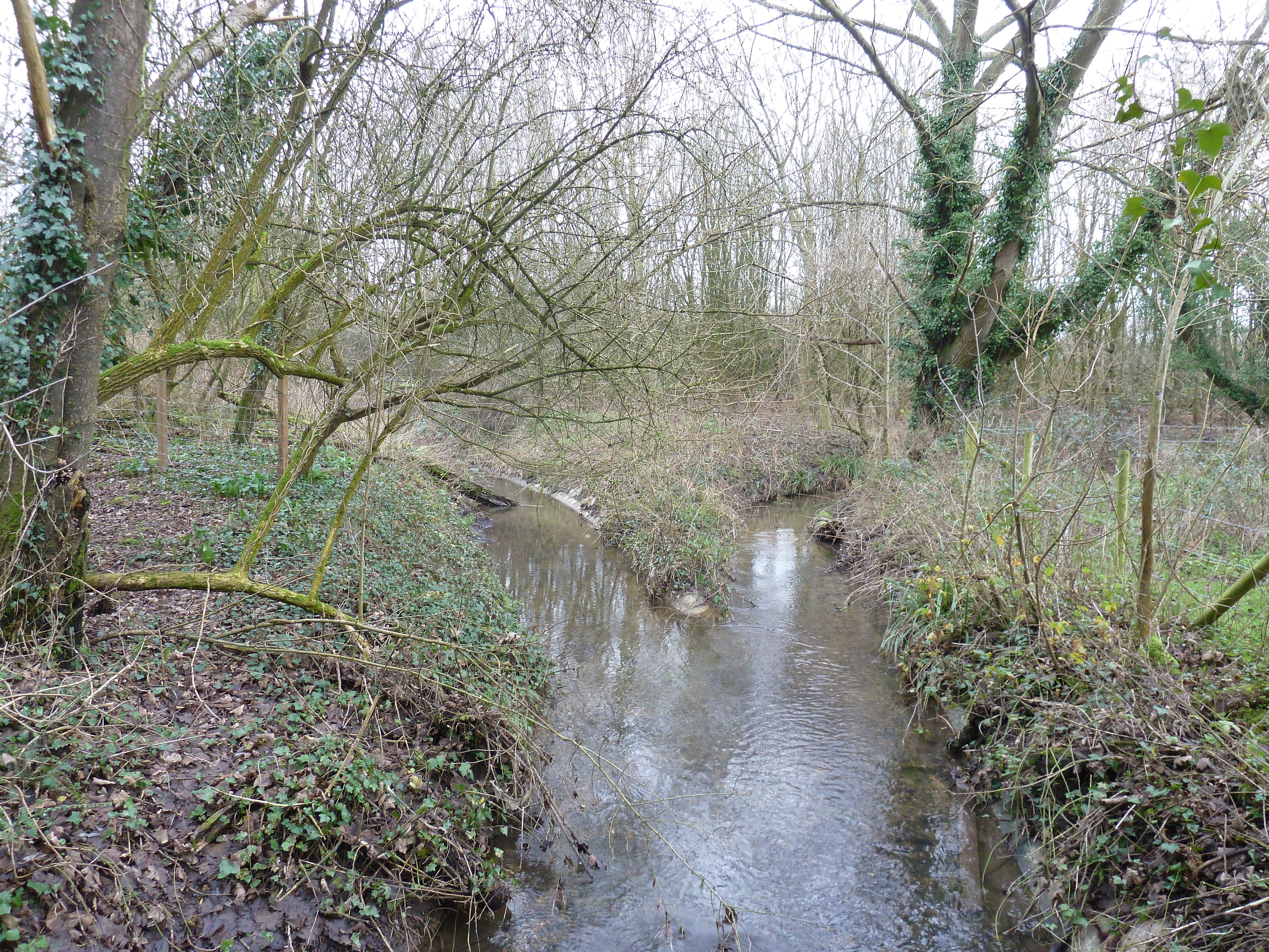 Fishbourne