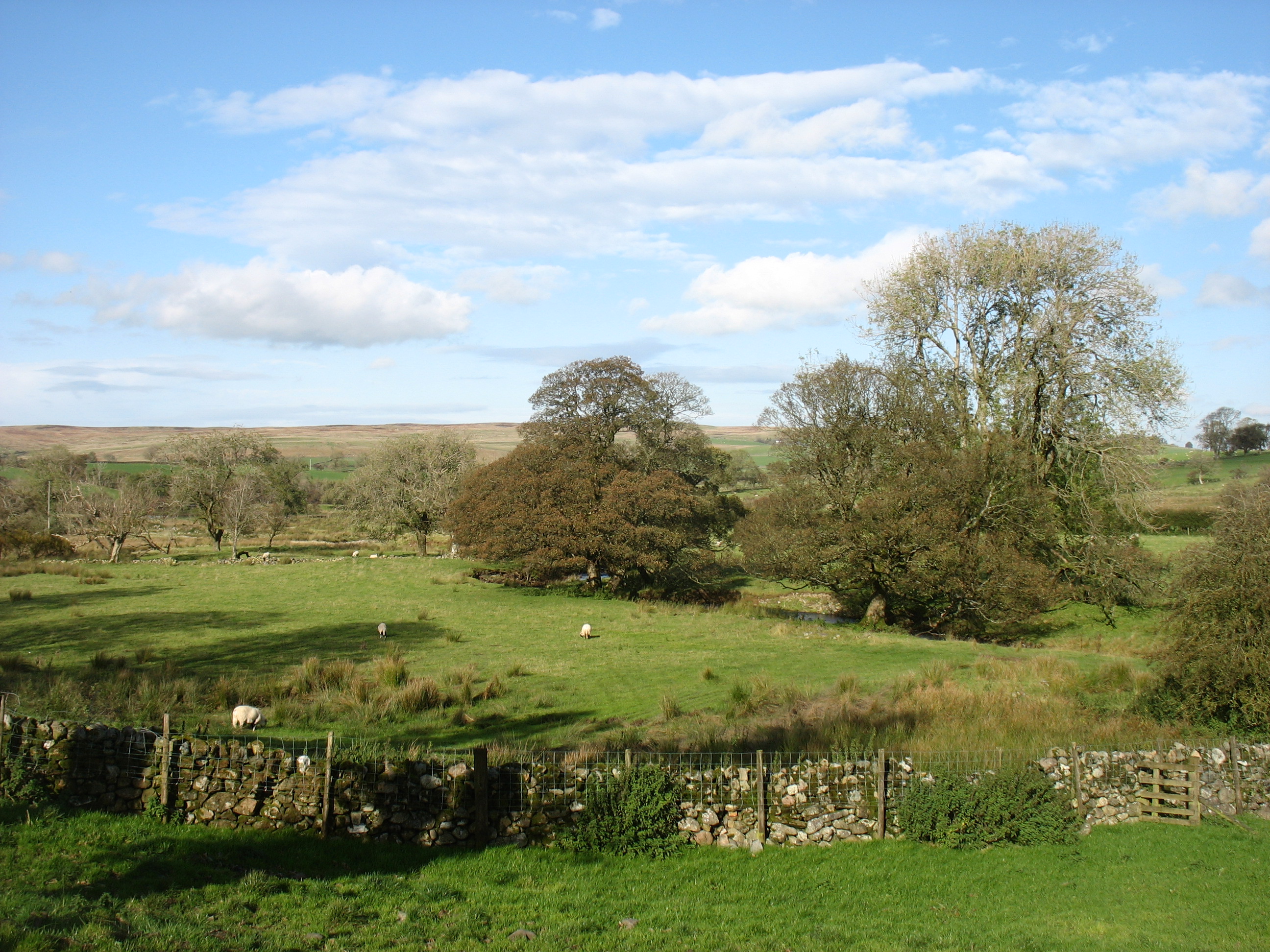 Branthwaite