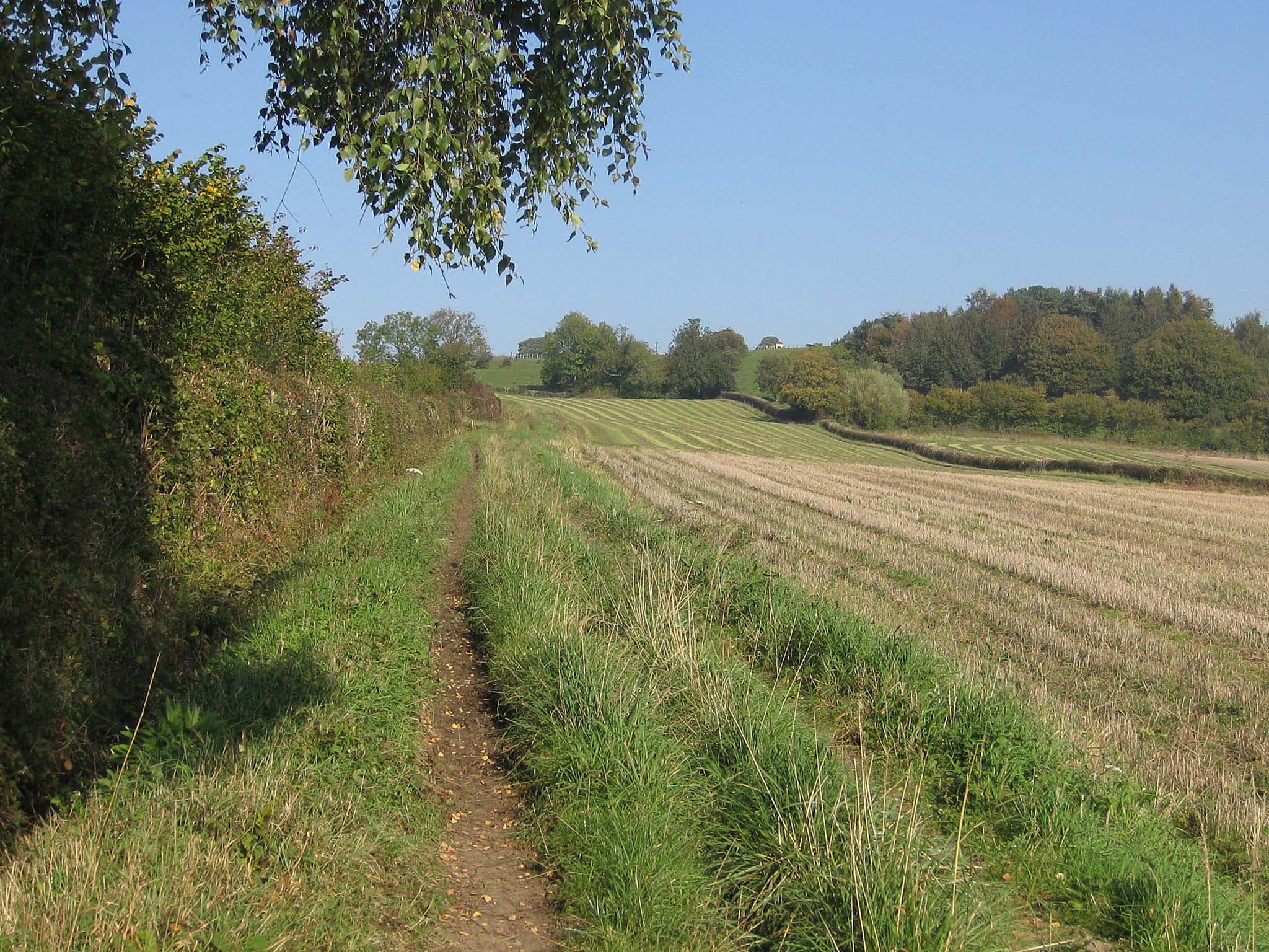 Appleton-le-Moors