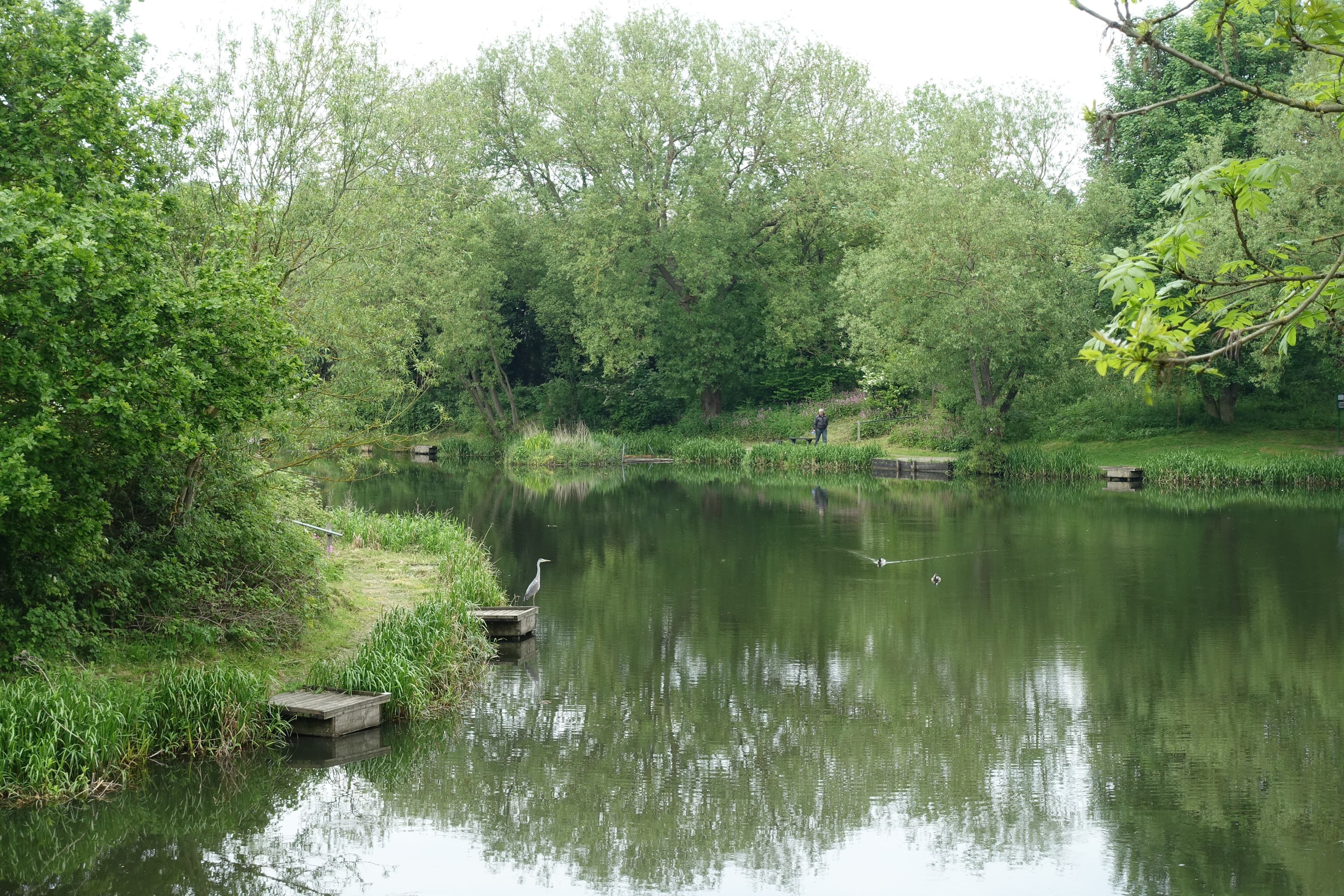 Derbyshire