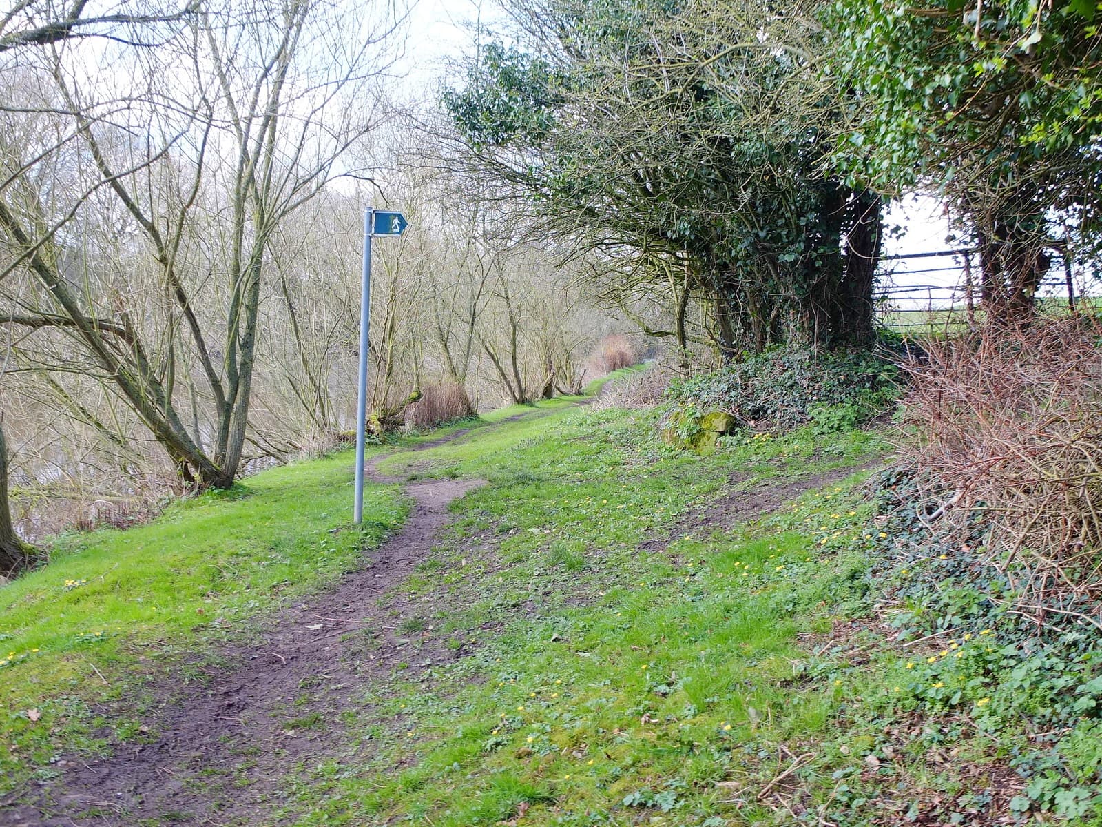 Barnton