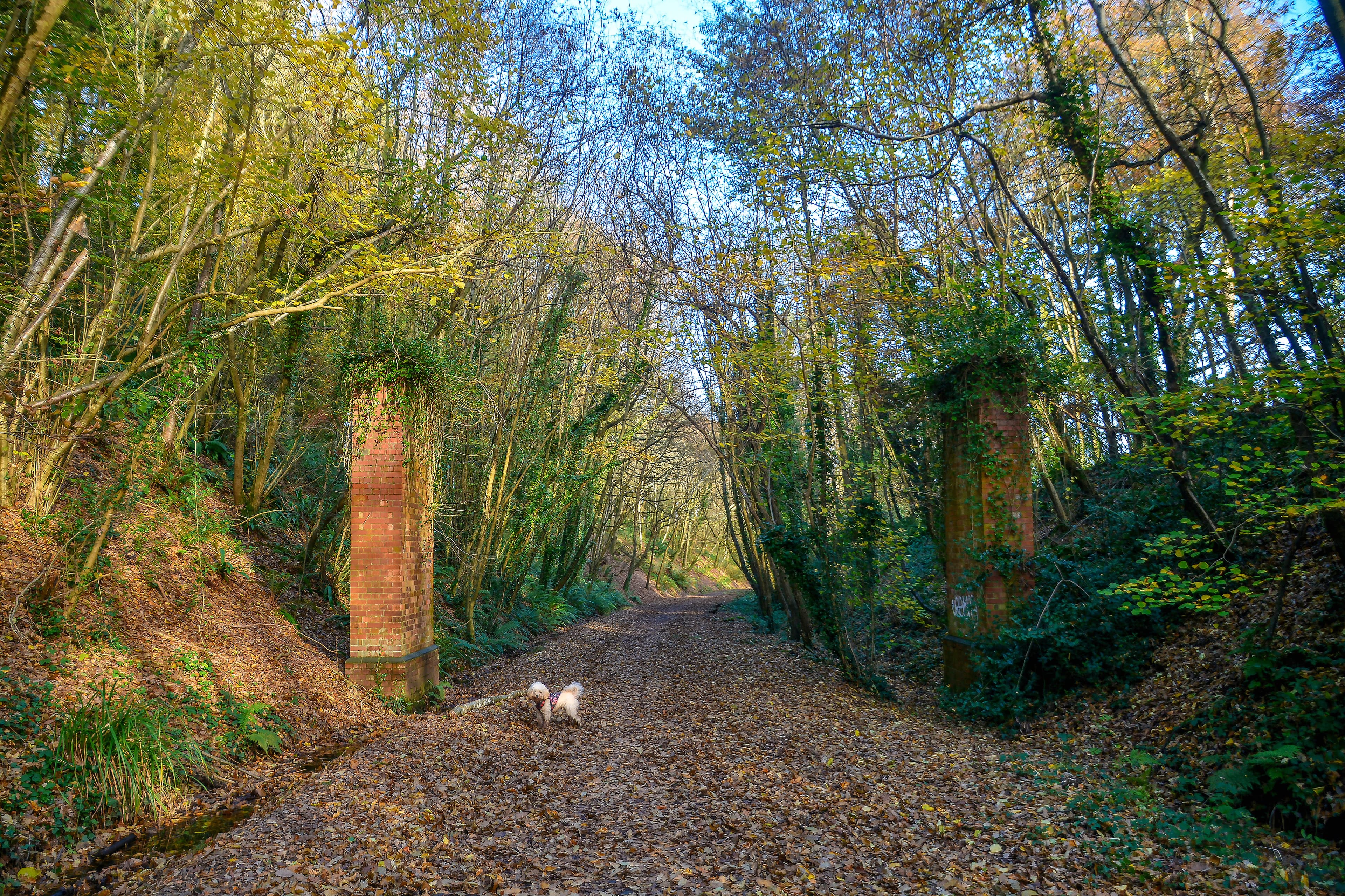 East Budleigh