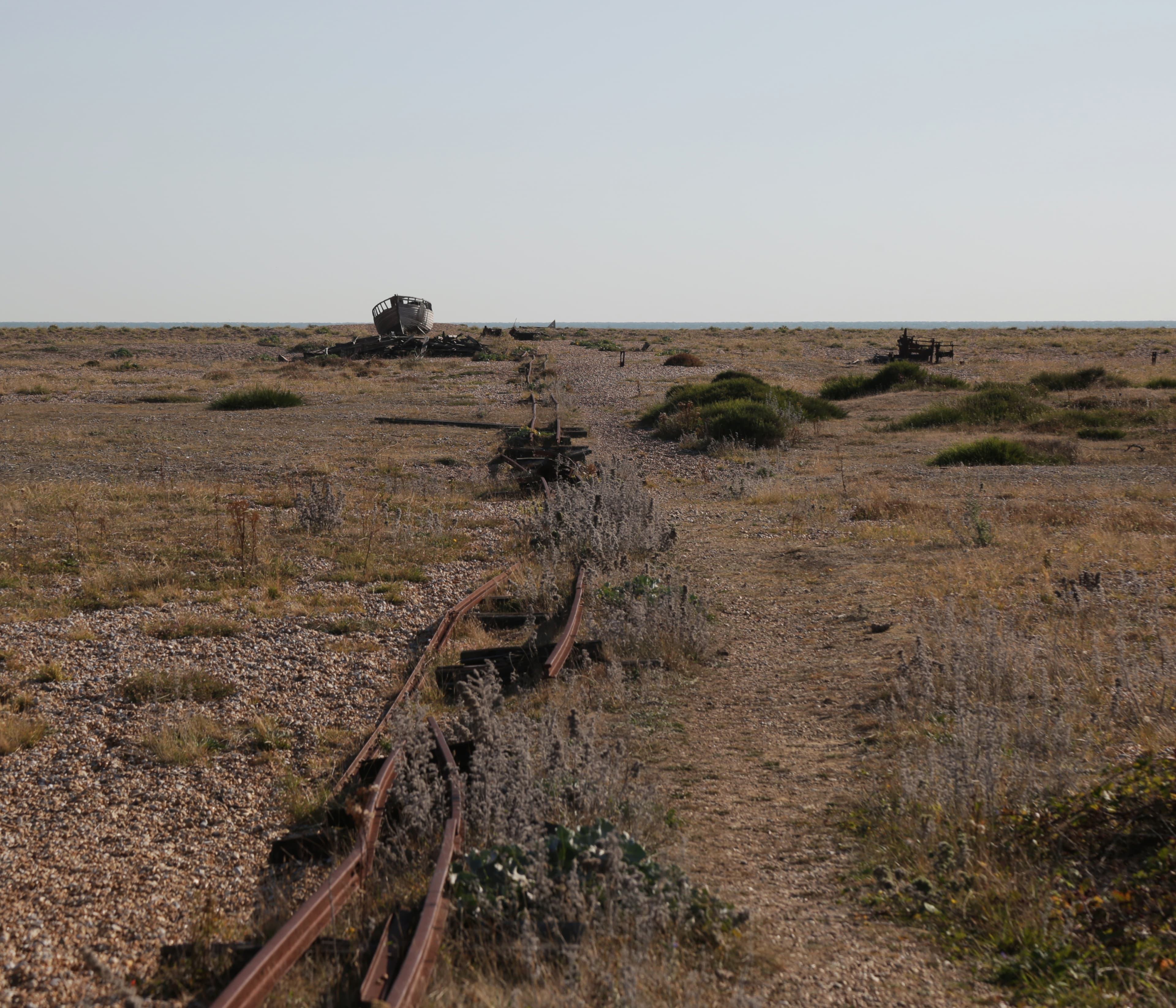 Dungeness