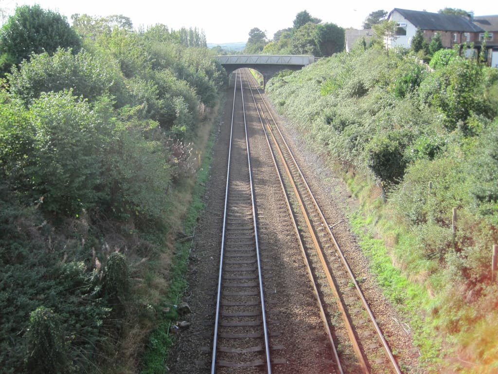 Cuddington