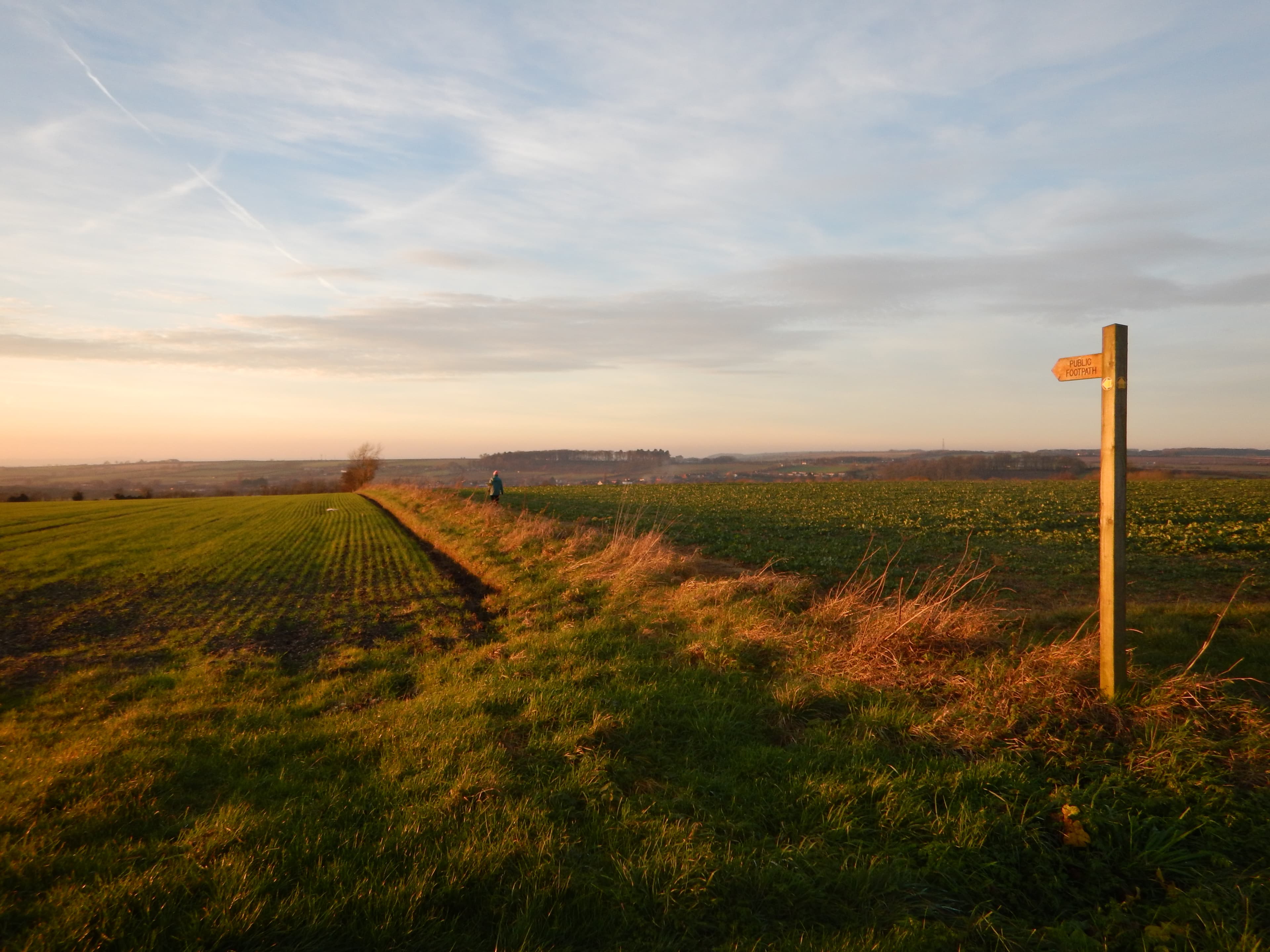 Barnetby le Wold