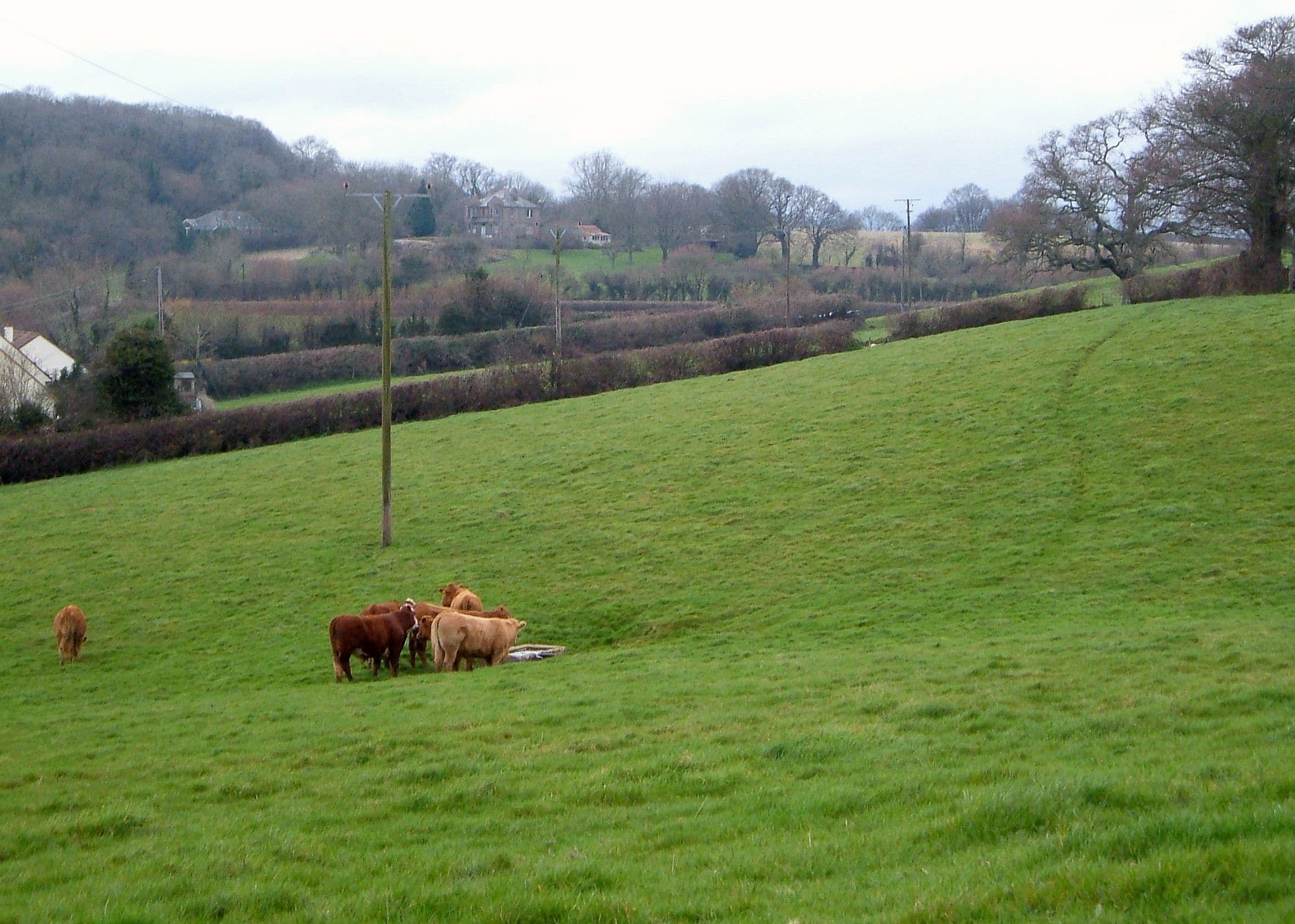 Abbotskerswell