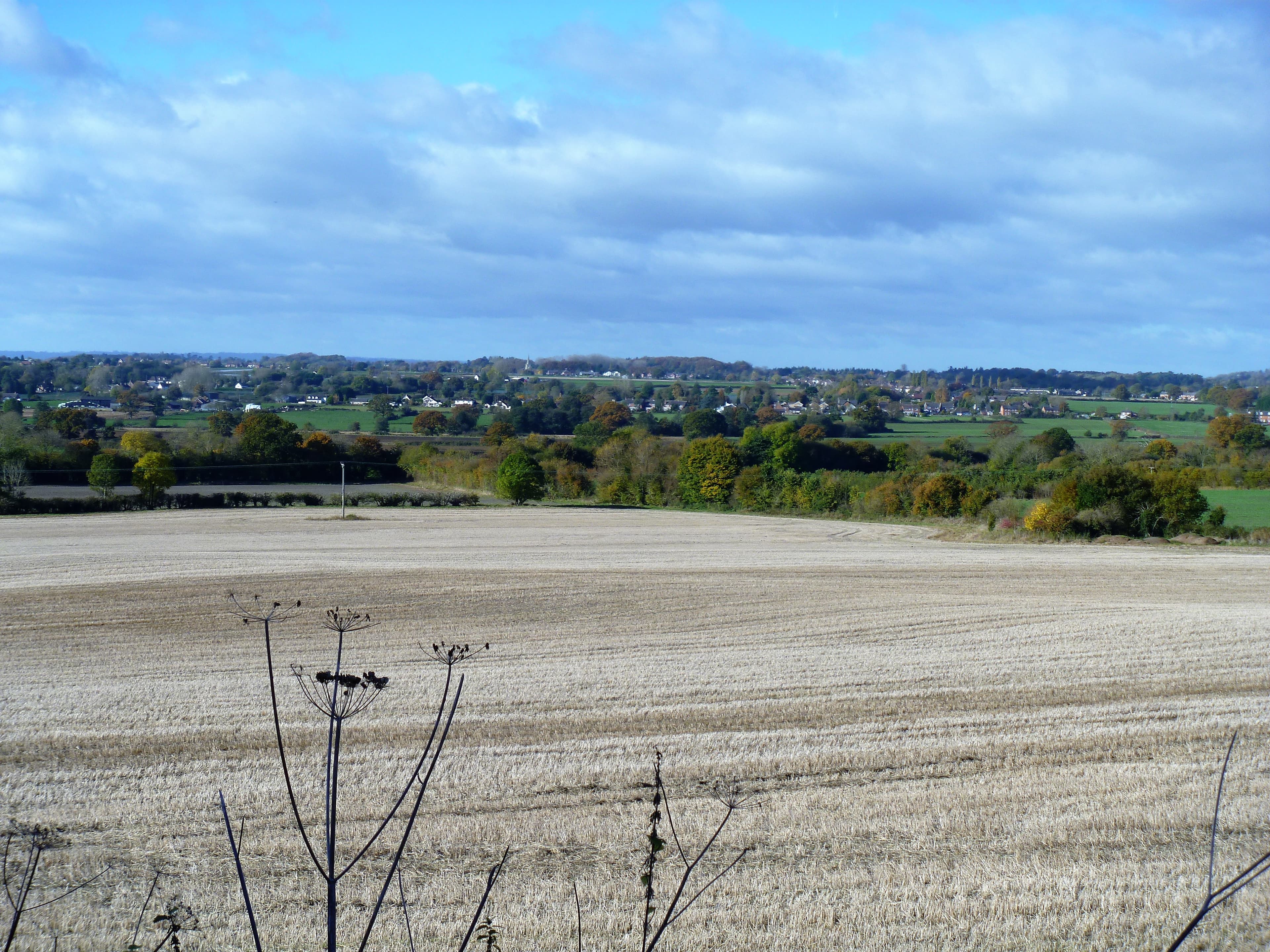Bromham