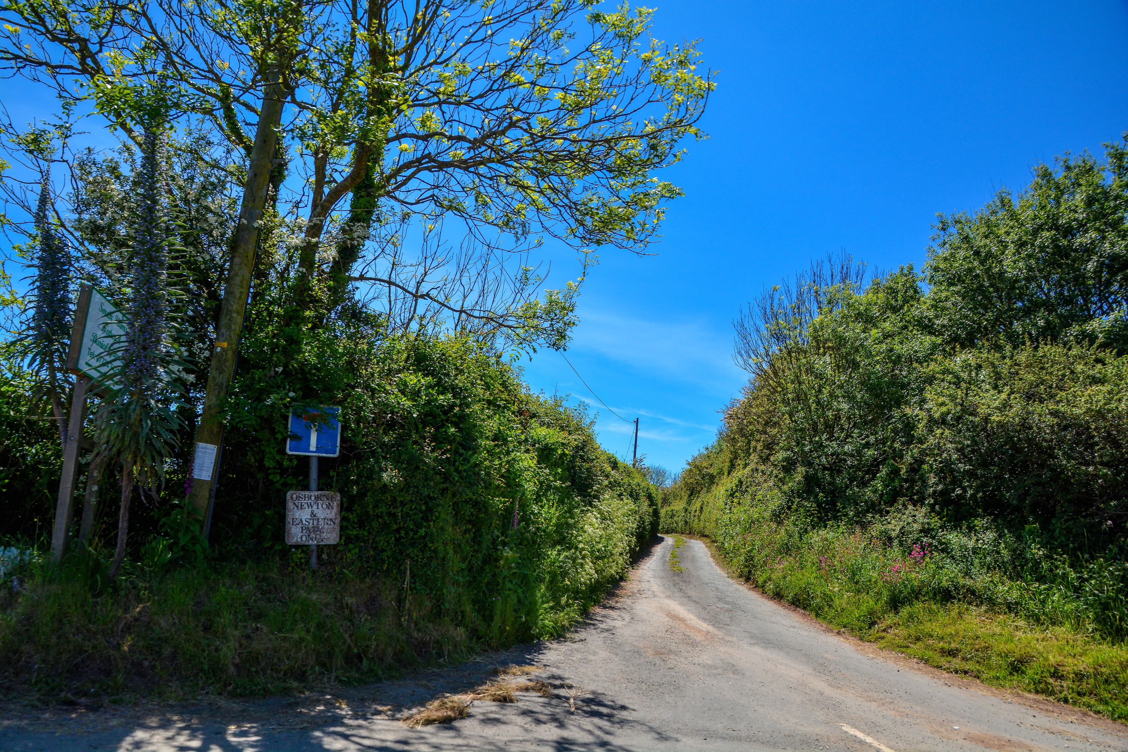 Churchstow