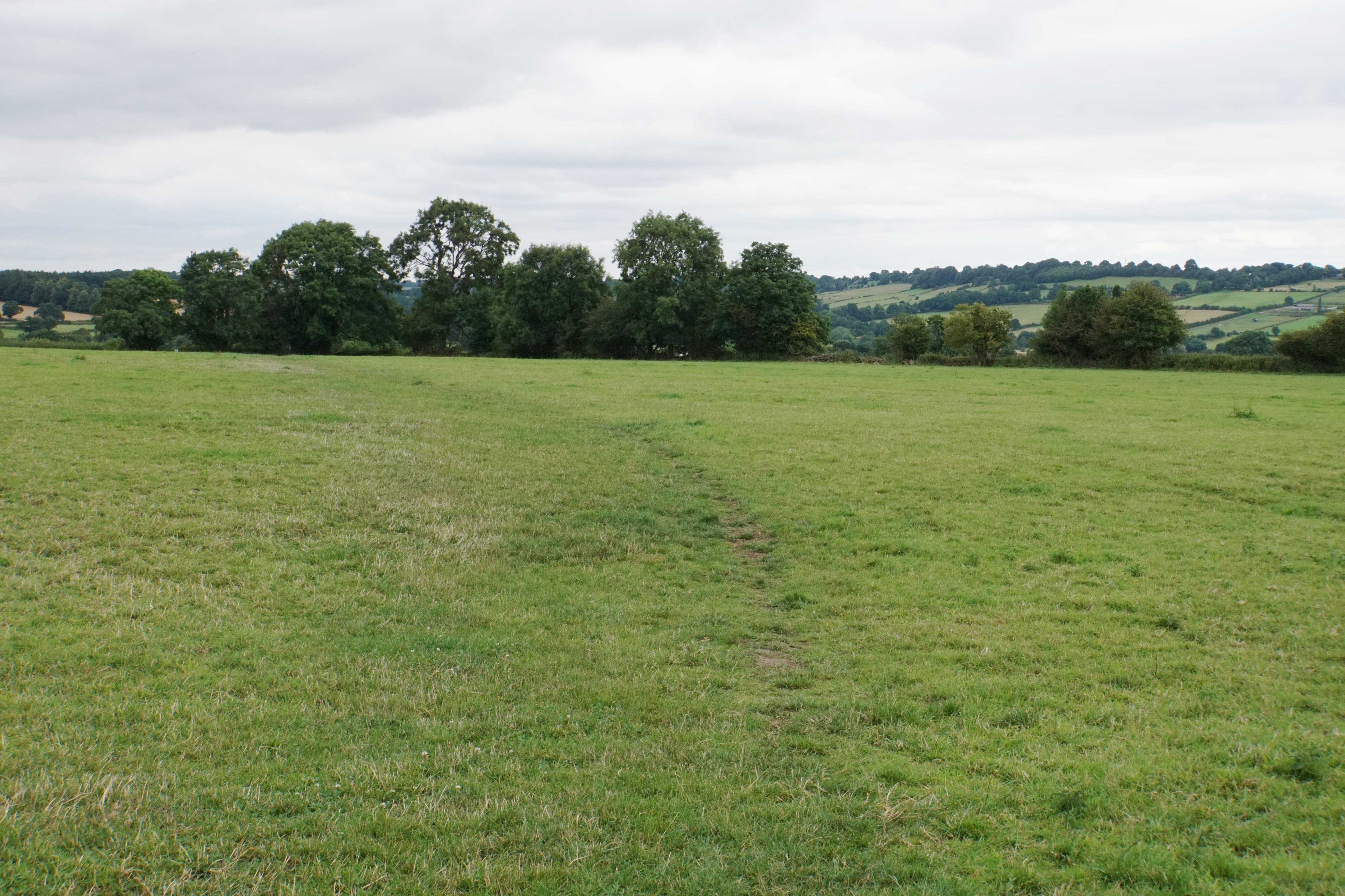 Brackenfield