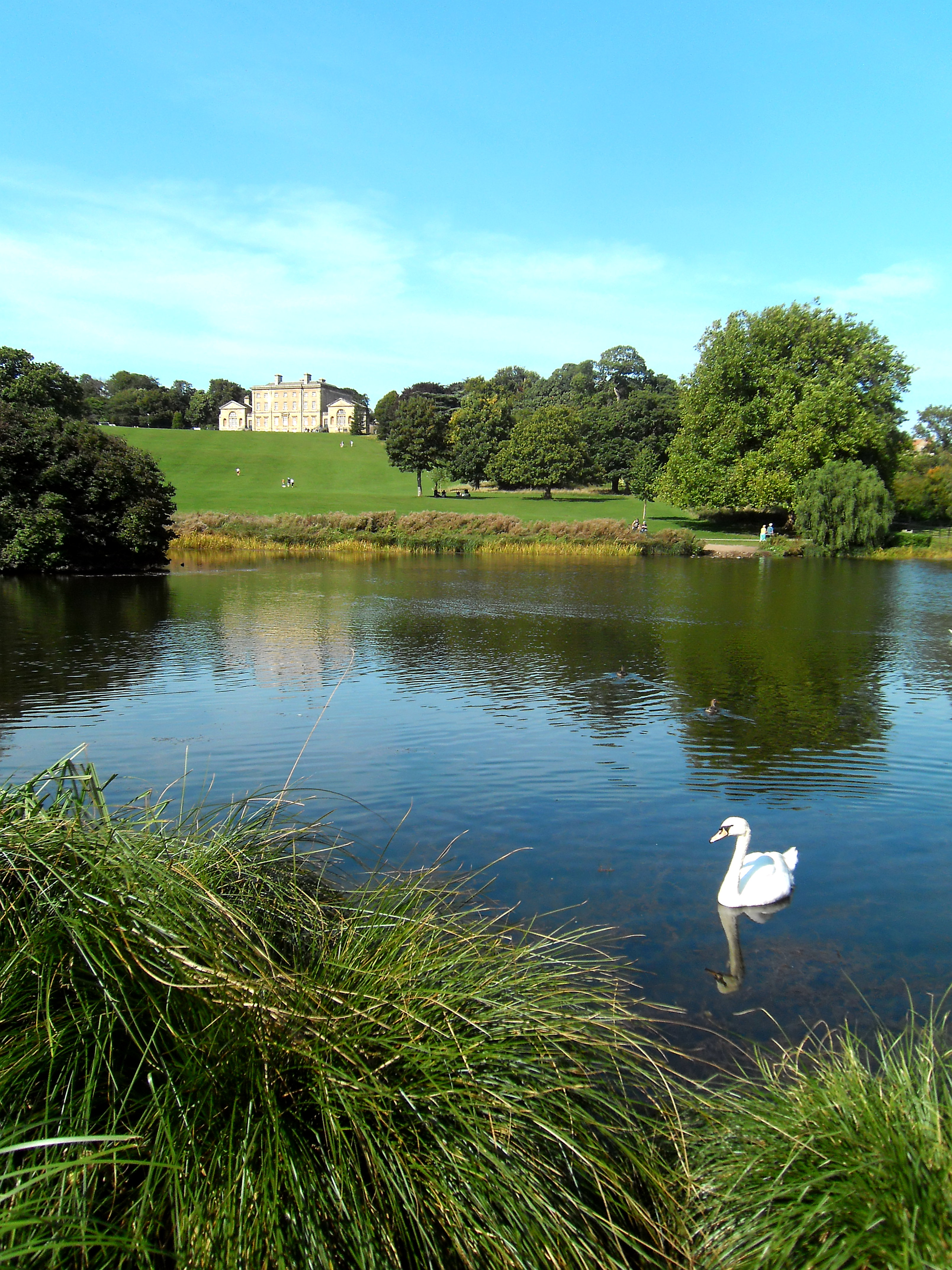 Cusworth