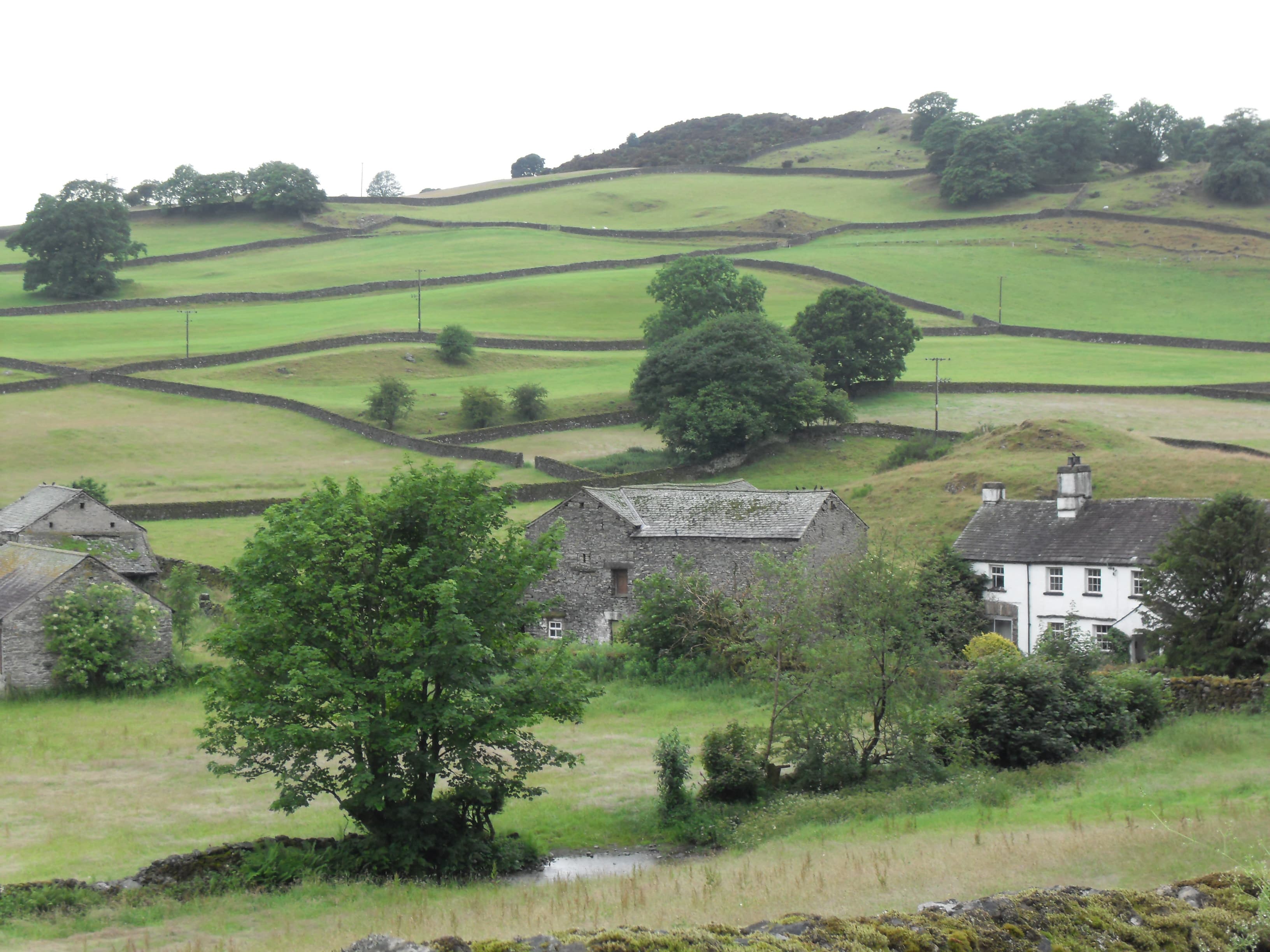 Beckside
