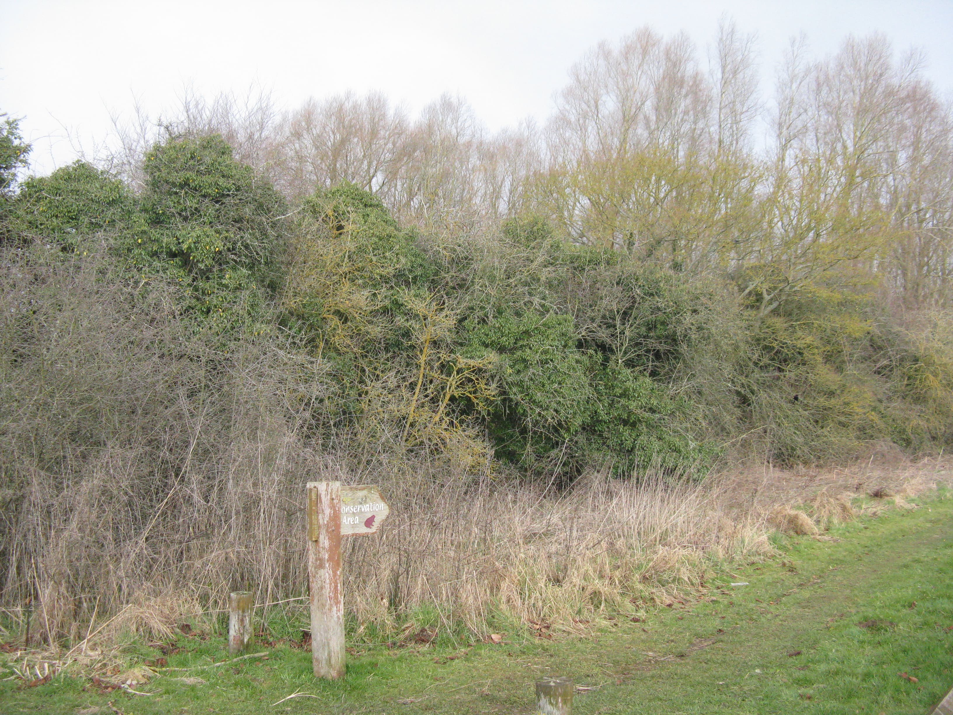 Emberton