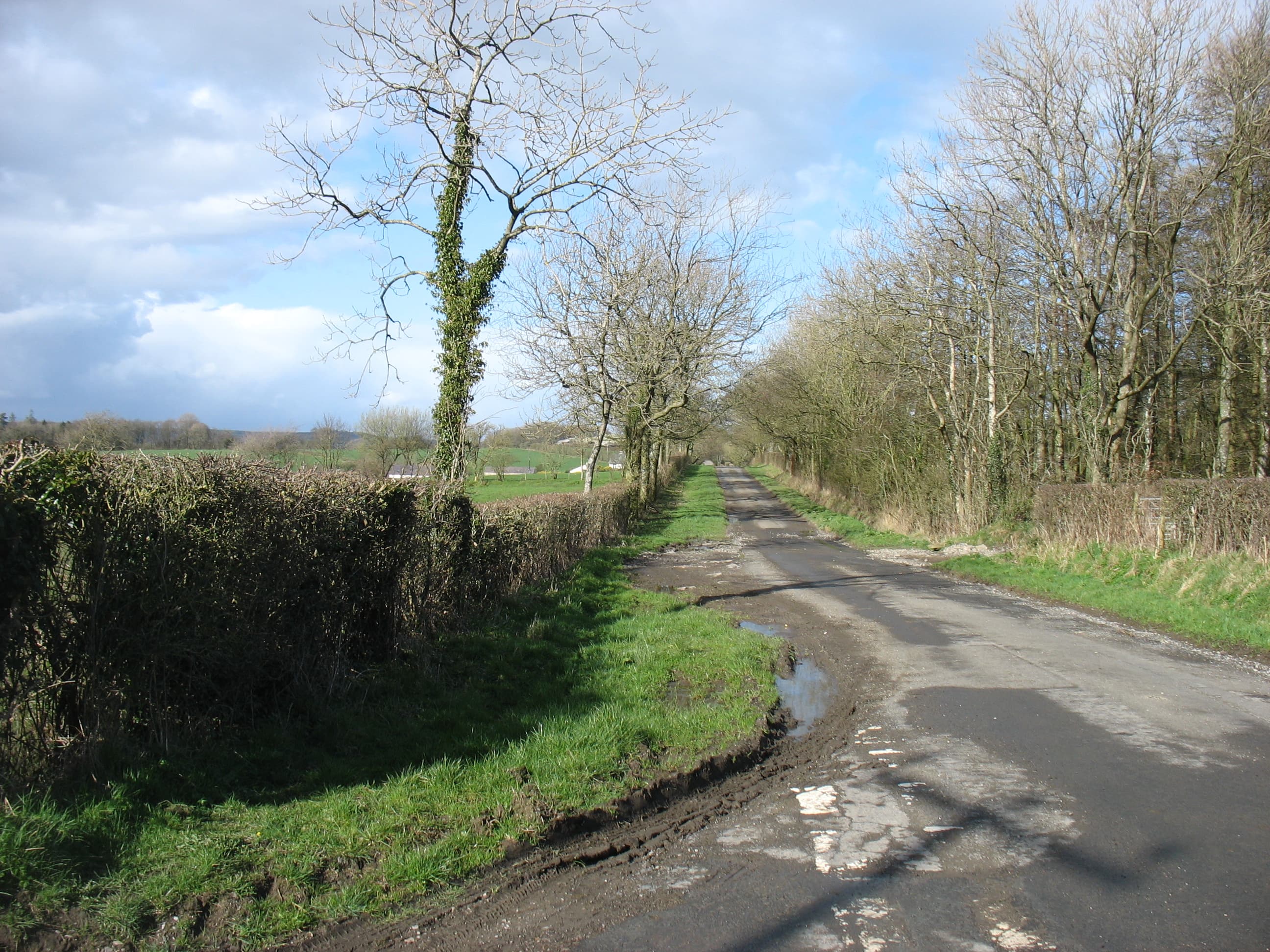 Greysouthen