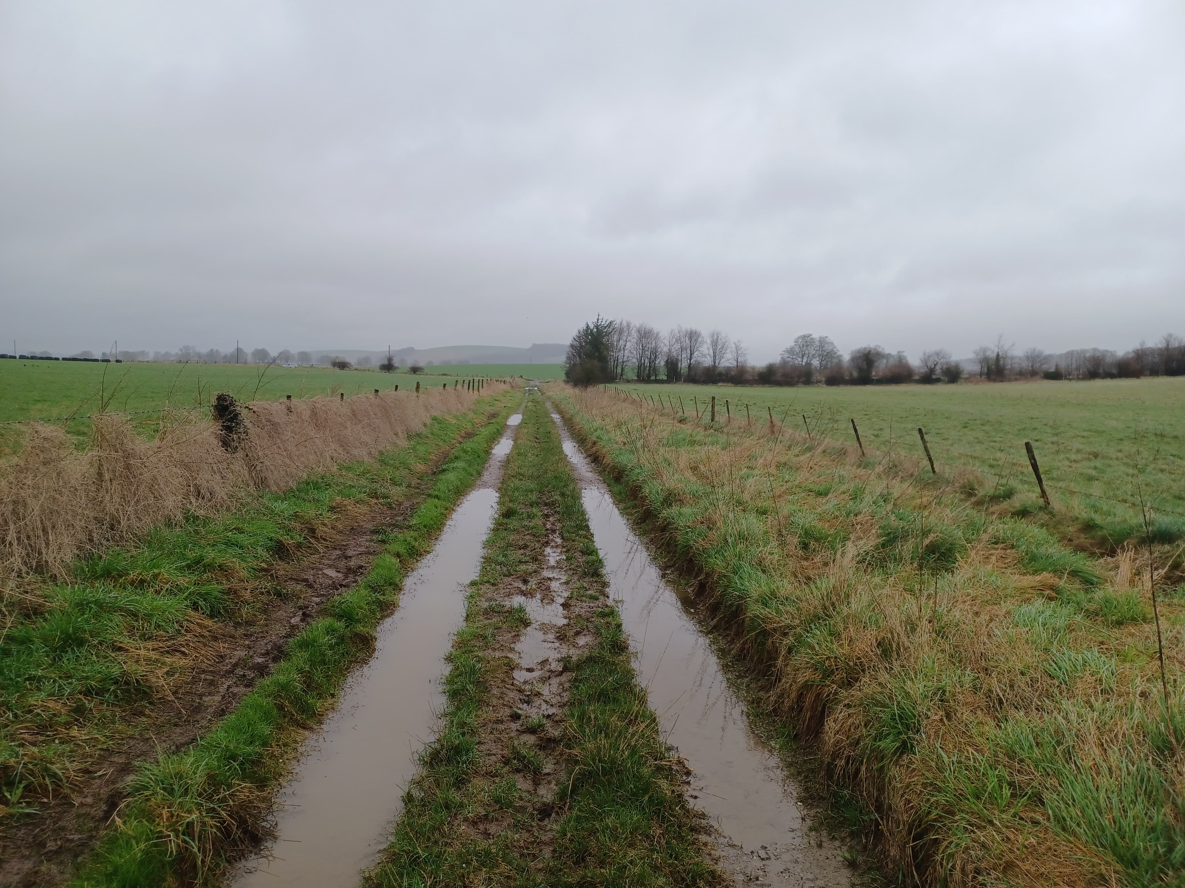 Wiltshire