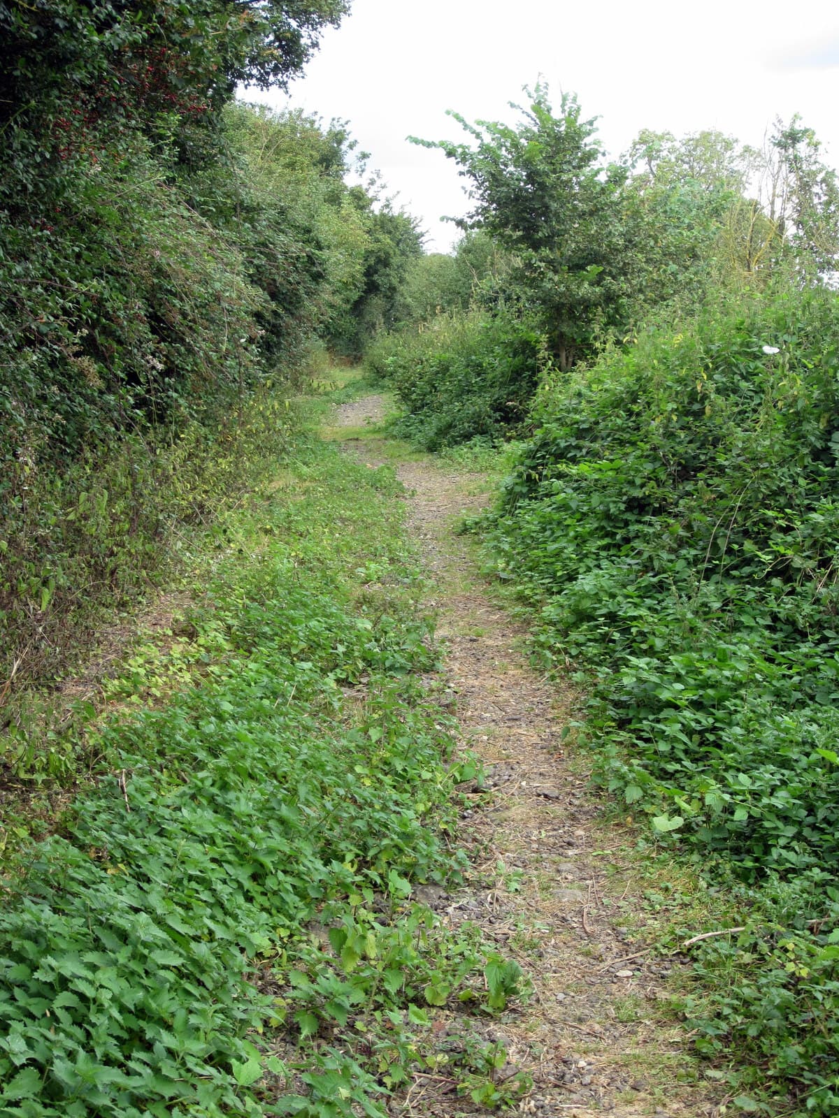 Hanslope